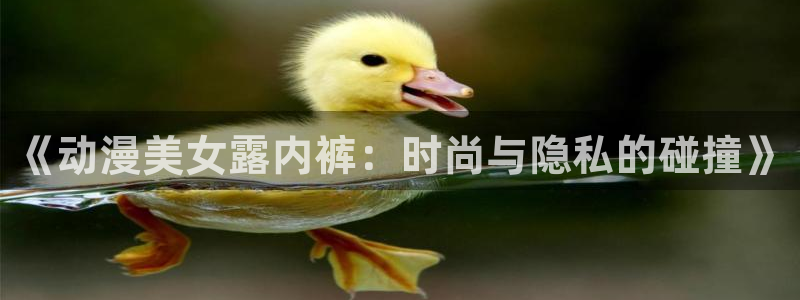 风车动漫ios版：《动漫美女露内裤：时尚与隐私的碰撞》