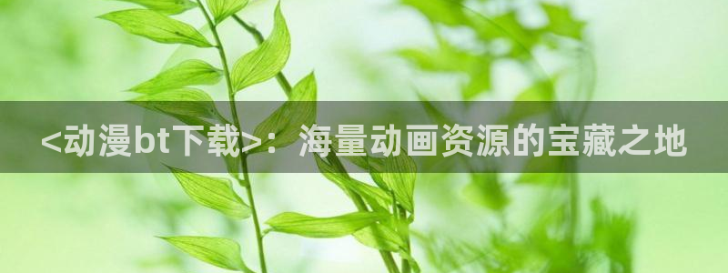 风车动漫(p)专注动漫的门户网站：<动漫bt下载>：海量动画资源的宝藏之地