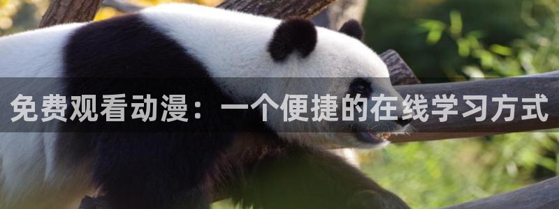 风车动漫视频下载：免费观看动漫：一个便捷的在线学习方式