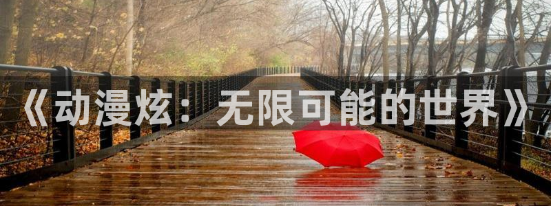 捷德奥特曼风车动漫.