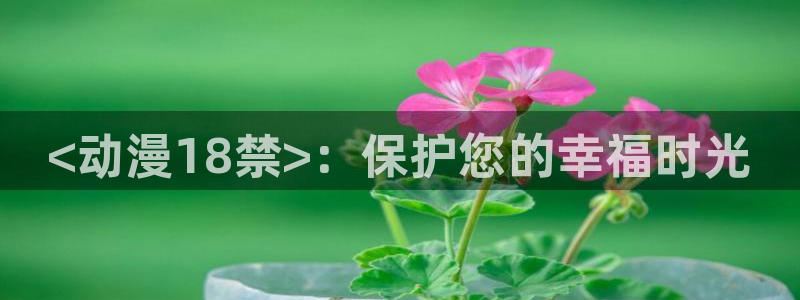 风车动漫日本动漫在线观看