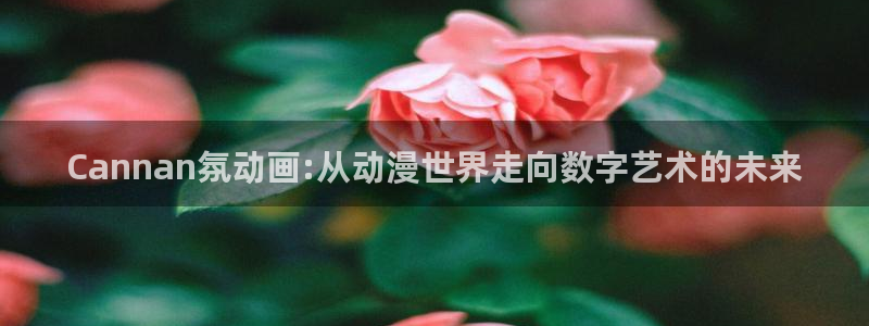 风车动漫官网官网