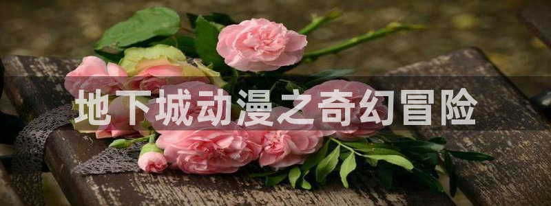风车动漫动