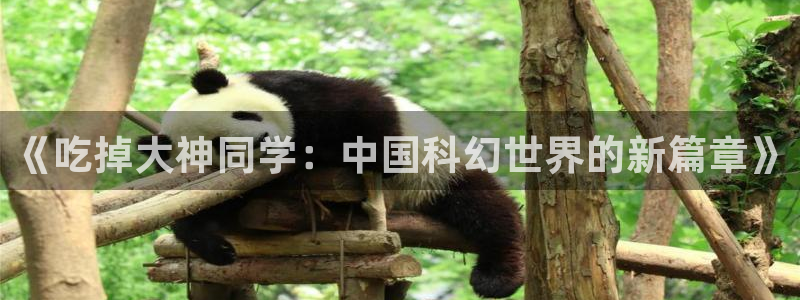 动漫风车动漫
