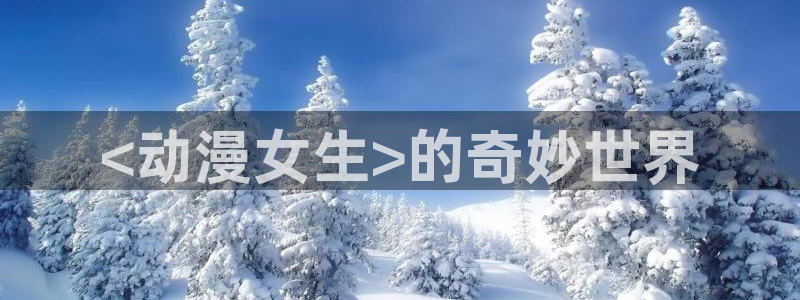 风车动漫官网官方入门网站