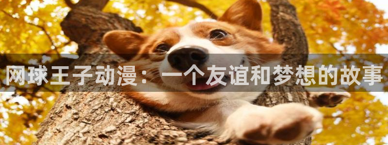 风车动漫大全免费播放