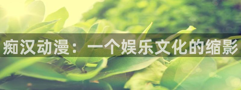 风车动漫管网