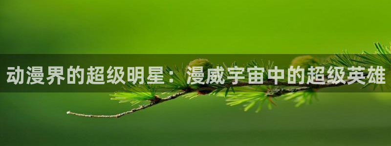 海贼王风车动漫免费
