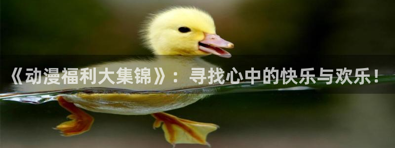 风车动漫在线全集播放