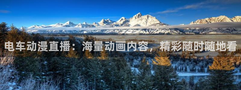 风车动漫的门户网站