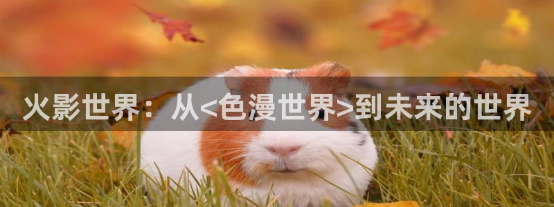 樱花风车动漫网_专注动漫的门户官方网站