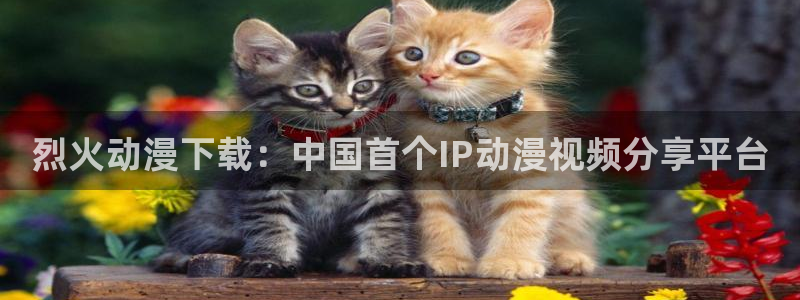 风车动漫专注于动漫的门户网站的