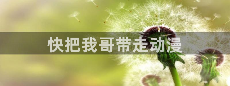 风车动漫580