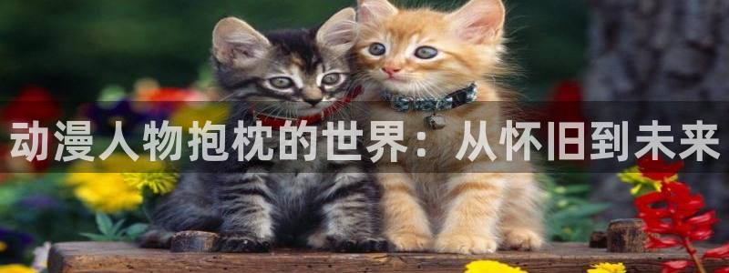 刃牙死囚篇风车动漫