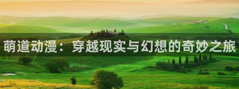风车动漫高清