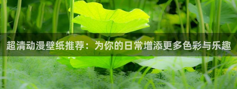 风车动漫 官网下载