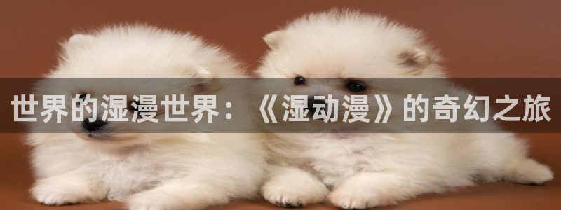 夜游生活风车动漫