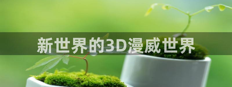 风车动漫图