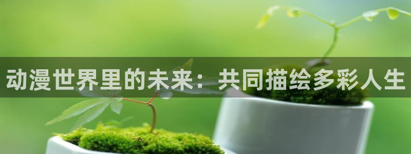 风车动漫网在线观看