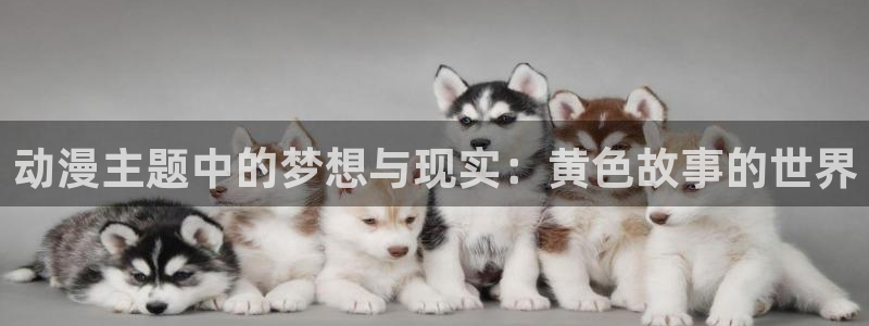 风车动漫 专注动漫的门户官网