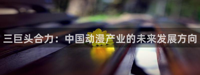 风车动漫小说下载：三巨头合力：中国动漫产业的未来发展方向