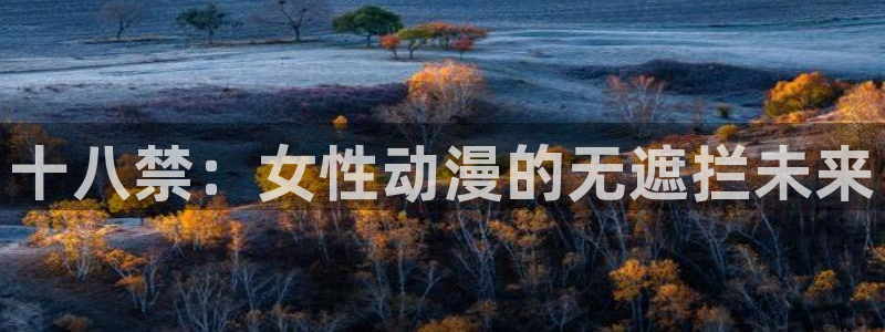 风车动漫暗：十八禁：女性动漫的无遮拦未来