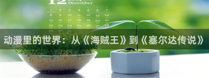 百炼成神全集免费观看风车动漫：动漫里的世界：从《海贼王》到《塞尔达传说》