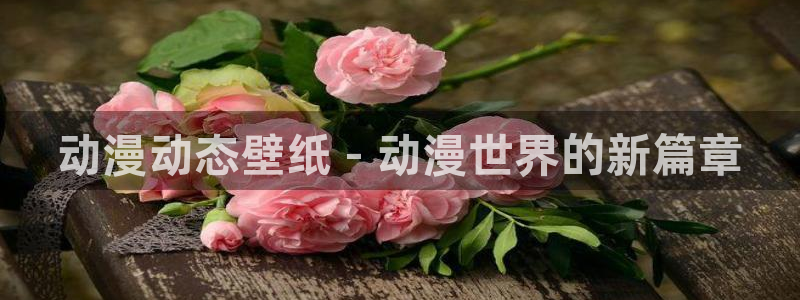 风车动漫网专注做最好的动漫门户：动漫动态壁纸 - 动漫世界的新篇章