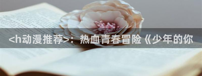 风车动漫樱花：<h动漫推荐>：热血青春冒险《少年的你