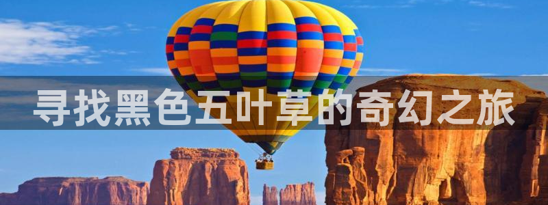 怎么下载风车动漫：寻找黑色五叶草的奇幻之旅