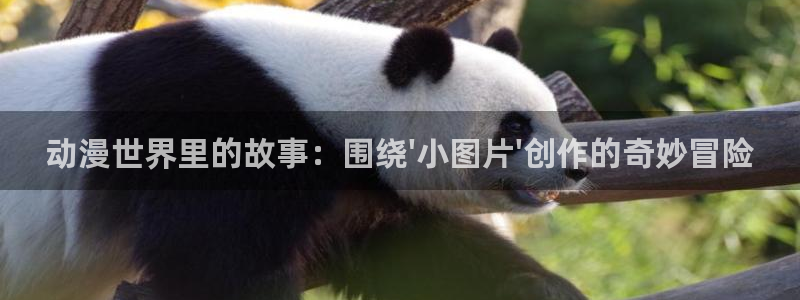 风车动漫官网在线看：动漫世界里的故事：围绕\'小图片\'创作的奇妙冒险
